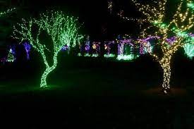 Cheekwood Christmas Holiday Lights Greta Hollar Christmas In Nashville Holiday Lights Holiday Experience