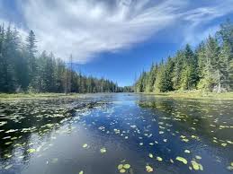 Sayward Forest Canoe Route, British Columbia, Canada