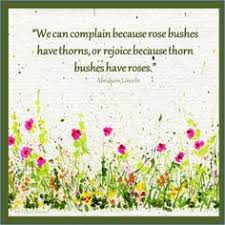 They comfort, motivate and encourage you. 120 Wildflower Ideas In 2021 Flower Quotes Wild Flower Quotes Quotes