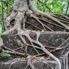 Ron Emmons (@ron.emmons) • Instagram photos and videos