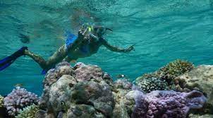 Smart steps for reef relief. A Guide To Reef Ocean Safe Sunscreen We Are Explorers