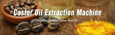 Castor oil production is a very typical process of taking essential oil from seeds. Best Castor Oil Extraction Machine Manufacturer Supplier