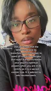 Pregnancy Willow Tree Meaning