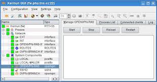 22 Virtual Private Networks Openvpn