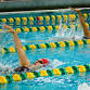 4-Week Refresher Swim Clinic event image