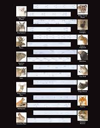 Identify Animal Tracks Track Identification Chart New