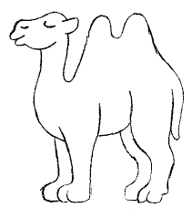 Camel coloring pages for kids online. Pin On Adult Coloring