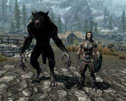 Members of any faction will not attack the dragonborn in either humanoid or werewolf form after joining, nor will a hero of sovngardeassault them. Should You Become A Werewolf In Skyrim Detailed Guide