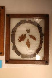 Image result for Mimusops kummel