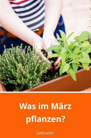 Was Im Marz Pflanzen Diy Garden Projects Container Gardening Vegetables Plant Pot Diy