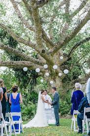 Wedding Ceremony Under A Gorgeous Old Tree With White Chinese Lanterns Succulent Garden Wedd Catholic Wedding Ceremony Garden Wedding South African Weddings