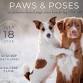 Paws & Poses: Yoga for a Cause — CNYSPCA