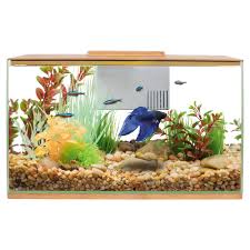 The tank was $30, and has a special filter that is not supposed to disturb bettas. Top Fin Bettaflo Betta Aquarium Fish Starter Kits Petsmart