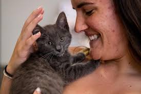 Nebraska Humane Society reopens to the public, shows off $14.1 million  renovation