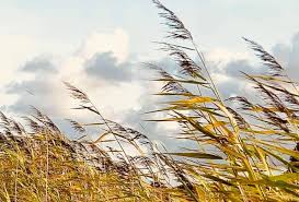 Instrumentistul, vladimir duminica, care este stabilit de mult timp cu familia la iasi, a interpretat piesa nataliei gordienko, „sugar, la tambal, iar rezultatul este unul fenomenal. Martin Autore Posts Facebook