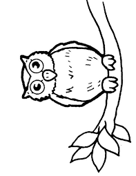coloriage hibou az chouette enfant 4 ans