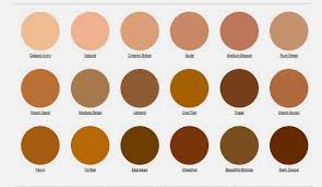 25 Thorough La Pro Concealer Color Chart