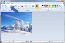 Con canva puoi ritagliare facilmente le tue foto e immagini online con solo un paio di clic. Ritagliare Foto Gratis