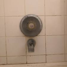 Check spelling or type a new query. How To Replace A Single Handle Shower Valve Dengarden