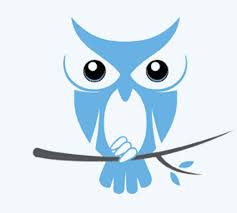 Originating from and created on ifunny app, gif captions saw a significant spread on twitter and in certain subreddits starting in the second half of 2019. Artstation Owl Logo Ray Avid Lebon