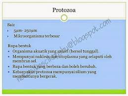 Nota sains tingkatan 3, bab 1. Nota Sains Tingkatan 5 Bab 2 Nota Cikgu Shu Cute766