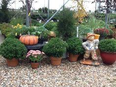Maybe you would like to learn more about one of these? Frese Ornamental Nursery Fresenursery Profile Pinterest