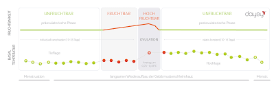 Der zervixschleim oder auch zervikalschleim ist den meisten frauen als ausfluss bekannt. Zervixschleim Bestimmung Fruchtbarer Unfruchtbarer Tage