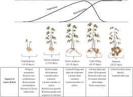 frontiers coping with drought stress and adaptive