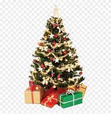 Download transparent christmas tree png for free on pngkey.com. Free Png Download Small Christmas Tree Png Images Background High Resolution Christmas Tree Transparent Png 480x786 876905 Pngfind