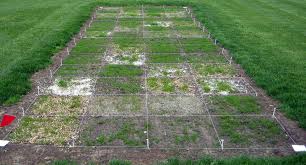 A new belt should repair lawn mower issues of this type. Get The Most Out Of Lawn Patch And Repair Mixes This Spring Umn Extension