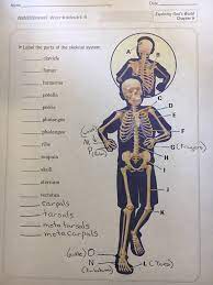 Start studying abeka health 9 test 1. 4th Grade Abeka Health Quiz 9 And Health Test 3 Chapters 1 7 Diagram Quizlet