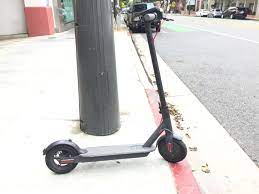 Advertisement birds are often envied for their ability to fly, but not all of them can. Bird Scooter Ultimate Guide Everything You Need To Know Exsplore
