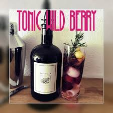 Moorgin Tonic Wild Berry Cocktail Rezept Mit Gin Selbst Machen Rezept Cocktail Rezepte Cocktail Rezepte Mit Alkohol Gin