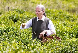 Cristina ivone porno she had a nice incall location and was