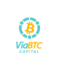 ViaBTC Capital 投资组合、团队与新闻| RootData