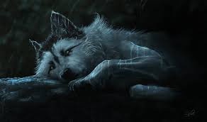 Select your favorite images and download them for use as wallpaper for your desktop or phone. Wolf 4k Desktop Wallpapers Wallpaper Cave