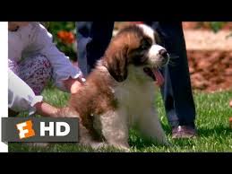 Beethoven 1992 Big Puppy Big Dog Scene 3 10 Movieclips Youtube Big Puppies Big Dogs Dog Movies