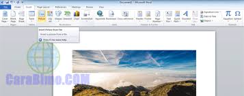 Setelah itu, foto akan muncul di layar paint. Cara Convert Jpg Ke Pdf Lengkap Di Android Dan Pc