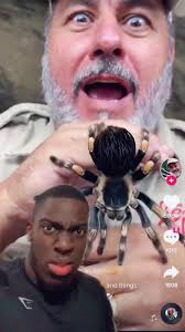 Reacting to a Unexpected Encounter with a Tarantula