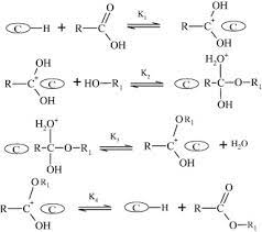 Reaction Mechanism For The Esterification Of Propionic Acid With Download Scientific Diagram