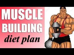 Pin On Protein Diet Plan For Women