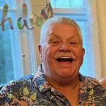 Robert "Bob" Morse Obituary (2024)