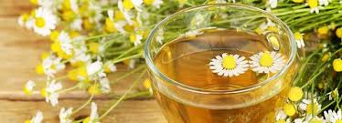 It will not only soothe your muscles but your stomach too. Benefits Of Chamomile Tea And Its Side Effects Lybrate