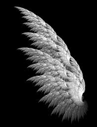 Angel Wings Wallpapers Angel Wings Pictures Wings Wallpaper Angel Wings Images