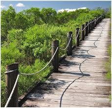 Bajando Por La Quebrada Treinta Y Tres Treinta Y Tres Uruguay Uruguay Republica Oriental Del Uruguay Montevideo