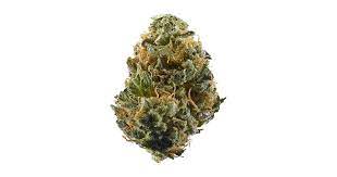 Haze Aka Original Haze Haze Brothers Marijuana Strain Information Leafly