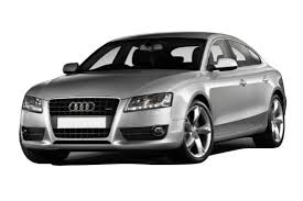 Image result for Apolo Gray 2009 A5