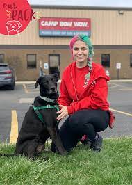 Puppies younger than 16 weeks should start with the puppy kindergarten class. Meet The Team Camp Bow Wow Hilliard