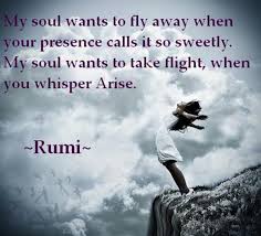 My Soul Wants Rumi Quotes Soul Quotes Rumi