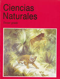 Pdf drive es su motor de búsqueda de archivos pdf. Ciencias Naturales Grado 3 Generacion 1993 Comision Nacional De Libros De Texto Gratuitos